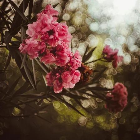 House K&k Casa vacanze