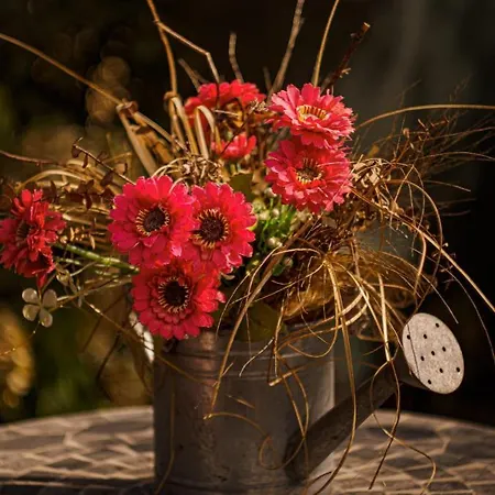 Casa vacanze House K&k *