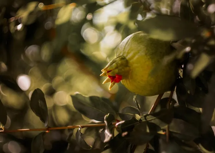 Dom wakacyjny House K&k Privlaka (Zadar)