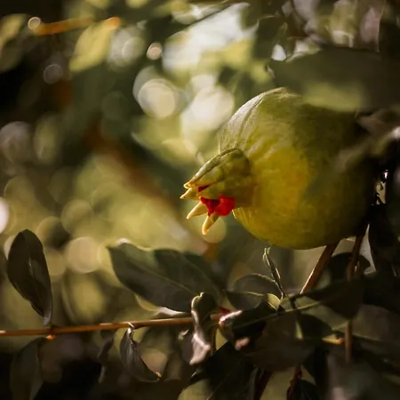 Prázdninový dům House K&k Privlaka (Zadar)