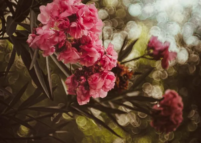 House K&k Сasa de vacaciones