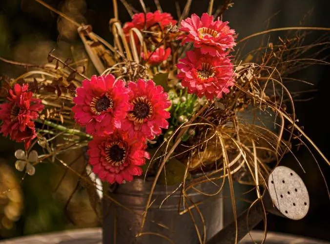 Сasa de vacaciones House K&k *